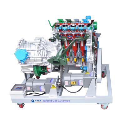 New Energy Car Anatomical Model Equipment By COROLLA