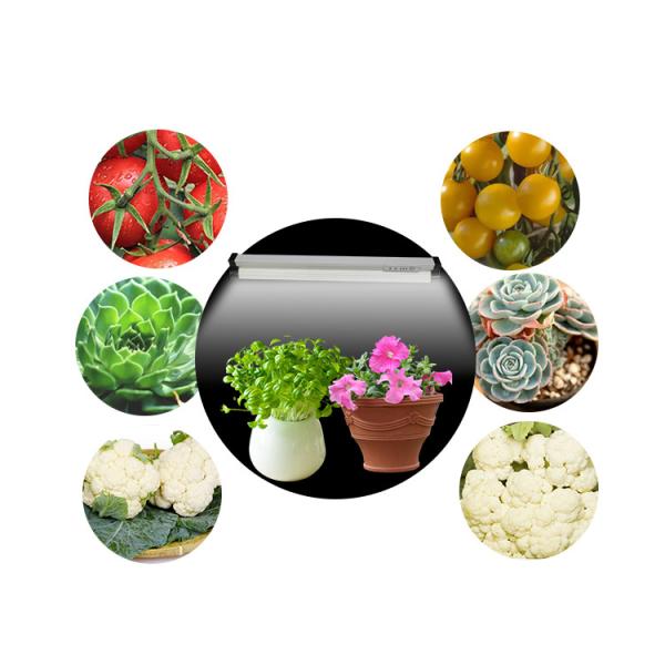 Smd2835 Vertical Farming Led Grow Lights , 140lm/W Full Spectrum Led Bulb