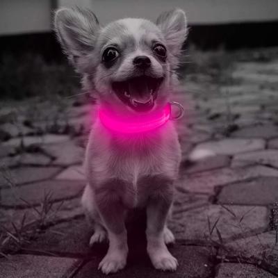 Fulgor de poupança de energia no a favor do meio ambiente recarregável de USB dos colares escuros do cachorrinho