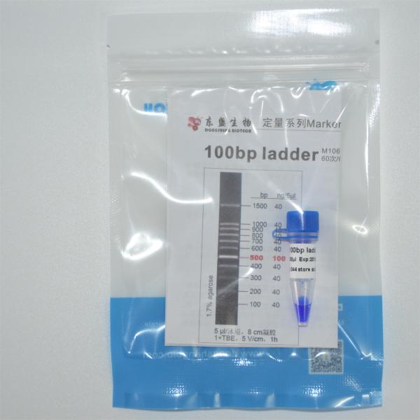 100bp Ladder DNA Marker M1061 (50μg)/M1062 (50μg×5)