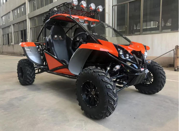 1000CC New Designed Go Kart With CVT Transmission And EFI