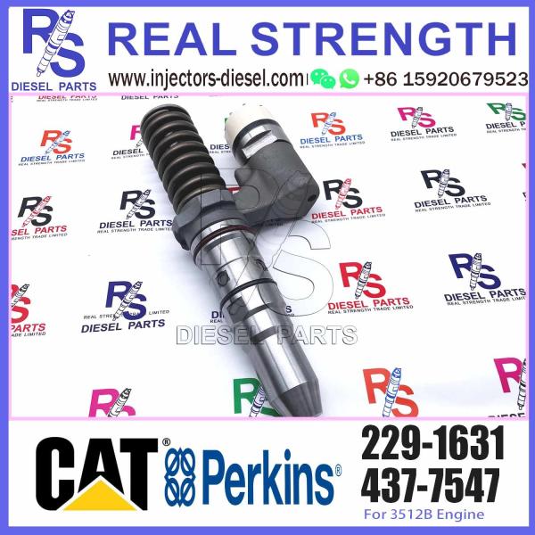 Injetor comum de alta qualidade 229-1631 do trilho do combustível diesel 2291631 para a nova tecnologia do motor de 3512B 3508B 3516B