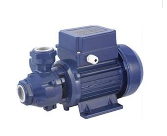 Bomba de água de alta pressão 0.55kw do motor bonde do redemoinho 0,75 bombas do Peripheral dos cavalos-força