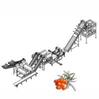 Espino cerval de mar 20TPD que procesa la fruta Juice Production Line