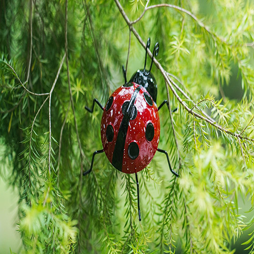 Уникальный двор металла орнаментирует среднее оформление дерева Ladybugs сада металла