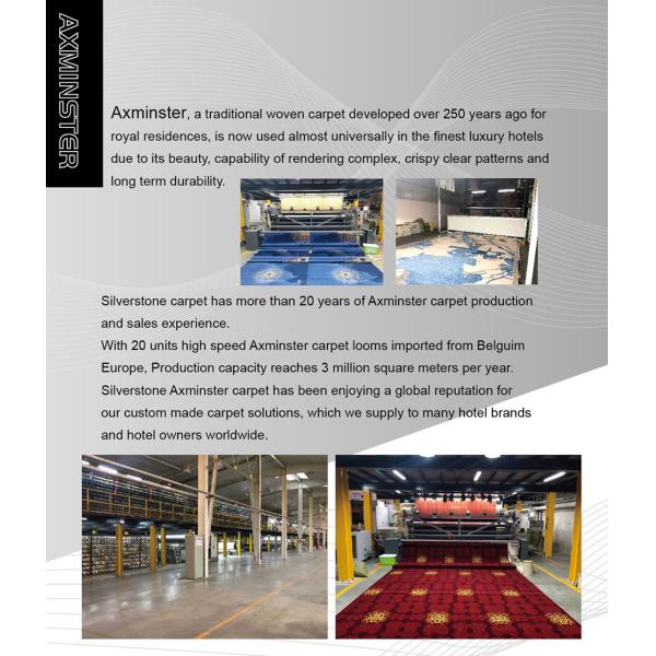 Fireproof Banquet Room Hotel Carpet with Medium Pile Height and 3D Printed Design