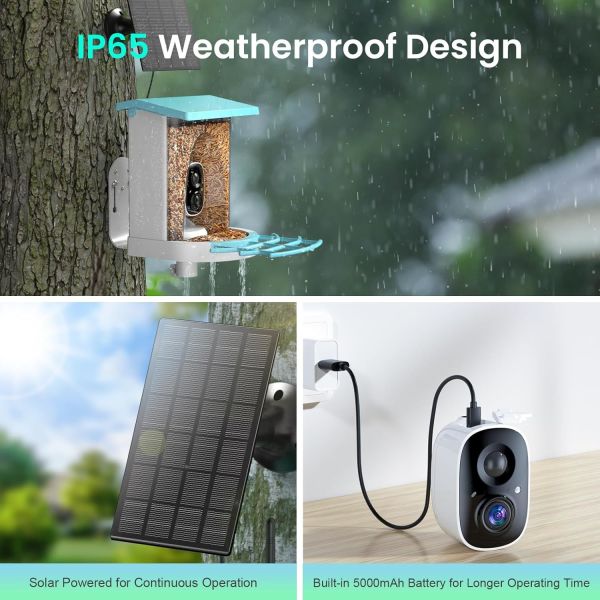 AI Recognized Bird Feeder with Camera, Outdoor IP65 Waterproof Night Vision Bird Watching Device