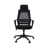 Cadeira de nylon do apoio lombar do rodízio/ANSI moldado Mesh Ergonomic Executive Chair da espuma