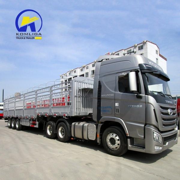 One Piece 1m *0.5m*0.5m Tool Box 3 Axle Fence Cargo Semi Trailer for Africa