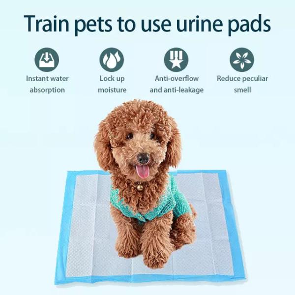 Adesivo Protector de Patas de Cão de Animais de estimação Pad Stick para Treinamento Sustentável Pet Toilet Potty