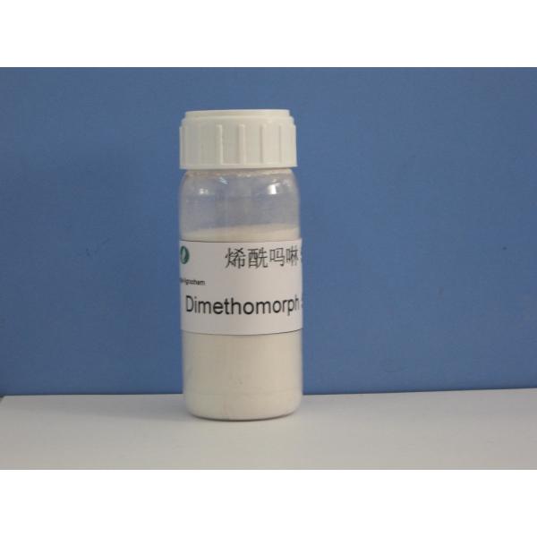Dimethomorph 50%WP , Fungicides , Agrochemical Pesticide,CAS 110488-70-5 , Dowy Mildew Of Cucumber / Fruit Tree