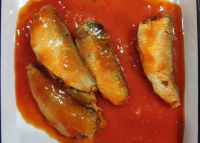 Paper Label / Printed Tins 425g Canned Sardines In Tomato Sauce