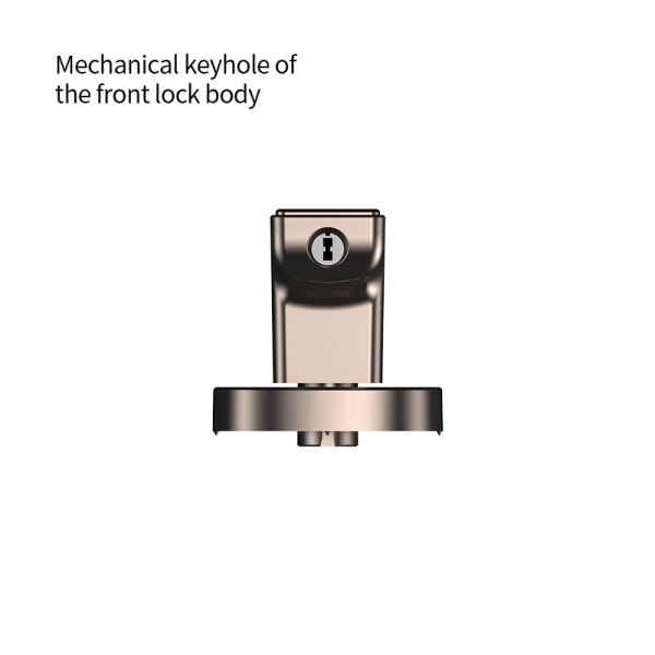 Tuya Smart Lock Fingerprint Electronic Keypad Entry Aluminum Alloy Royal Gold Color Durable Auto-locked Door Handle Smart