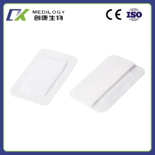 Wound Dressing with Absorbent Pad, CE/ISO Certified Medical Products