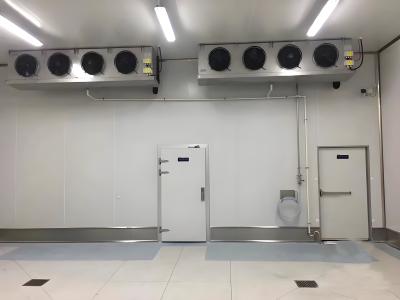 Temperature Controlled Freezer Room with Sliding Door Polyurethane Insulation and Digital Controller