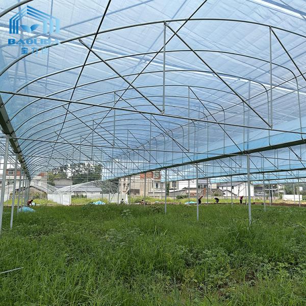 Multi-Span Agricultural Greenhouse Kit 6m-12m with 10-Year Warranty
