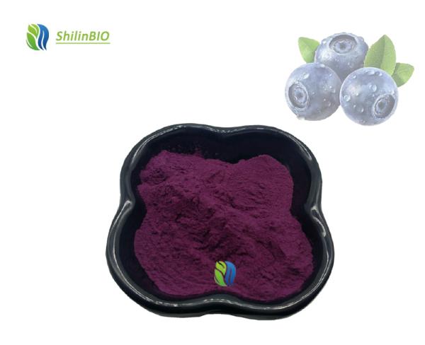 Wholesale Price Blueberry  Freeze Dried Blueberry Fruit Powder