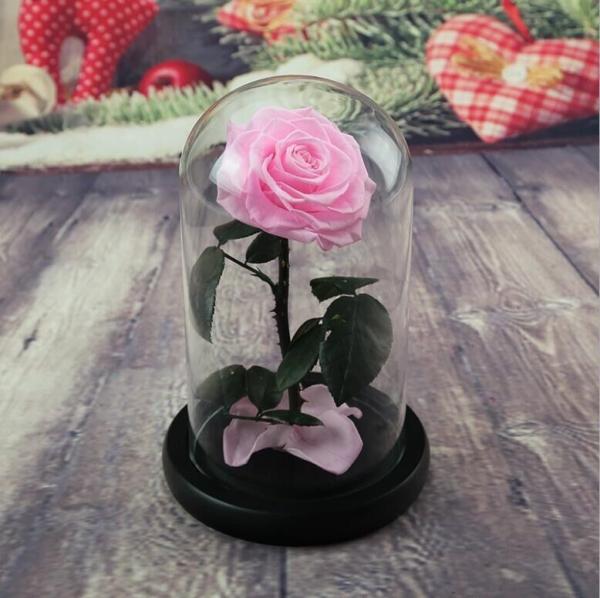 Wholesale Price beauty and the beast roses preserved roses in glass dome