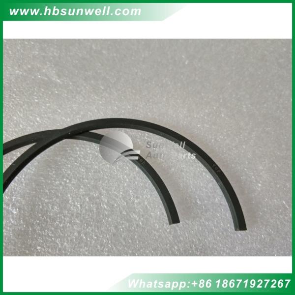 Cummins 6BT5.9 Engine Cummins Piston Ring 3802230 3802231 3802056 3802050 3802421 3904531 3918315 3932520