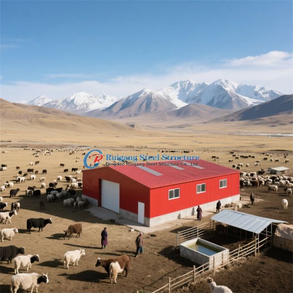 Industrial Workshop Office Stadium: Durable Blasting Steel Hangar Solution