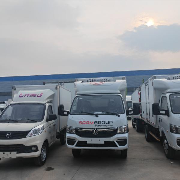 Dongfeng Mini Refrigerated Truck Fresh Food Freezer Refrigerator Truck