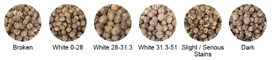 Customizable AI Grading Machine Inshell Walnut Sorter Machines
