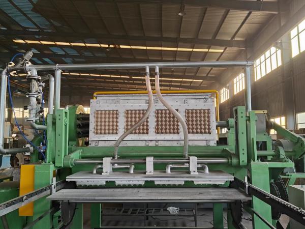 Máquina rotativa de bandeja de ovos Velocidade económica 6 s/ vezes Consumo de papel de resíduos 150 kg/h-450 kg/h