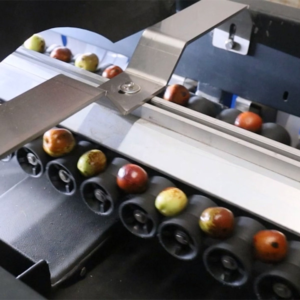 8 Lanes 380V Dates Fruit Sorting Grading Machine Computer Control