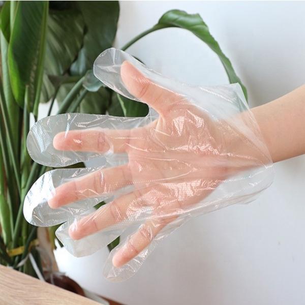 Plastic Polythene PE Disposable Medical Gloves Food Safe Universal Size Eco Friendly