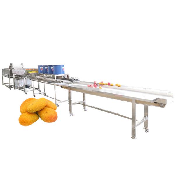 Hot selling Fruit Washing Machine Vegetable Bubble Washer Manufacture by Huafood
