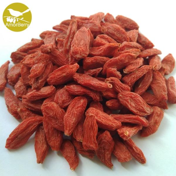 2018 New Crop Goji Berry From Ningxia Goji Berry Farm With Organic Certification