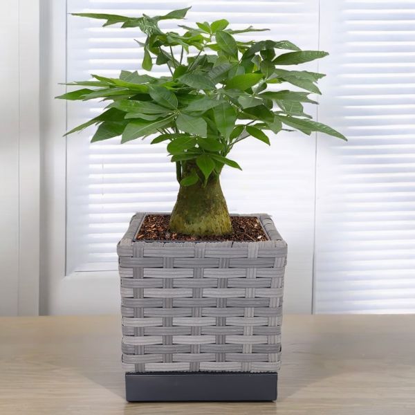 Latest Popular Garden Planter Metal Frame Weather Resistance PE Rattan Flowerpot Plant Pot