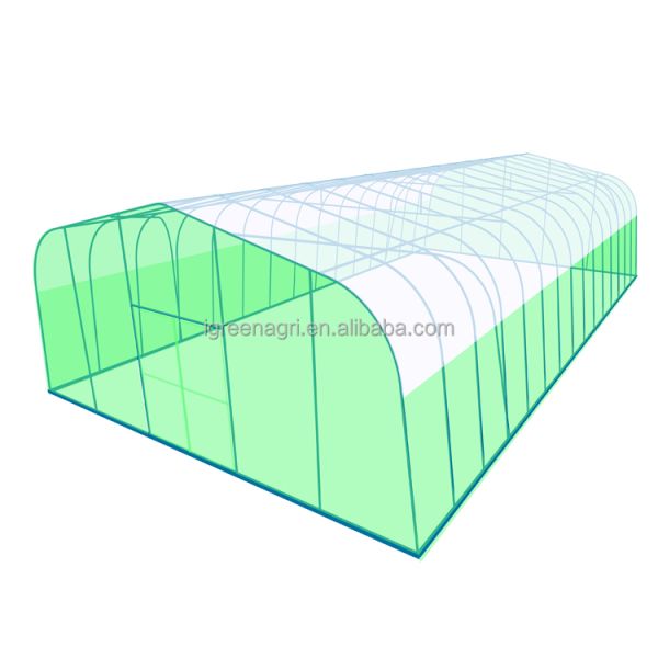 Agricultural Single-Span Tomato Greenhouse Frame PE Plastic Film for Plant Growth