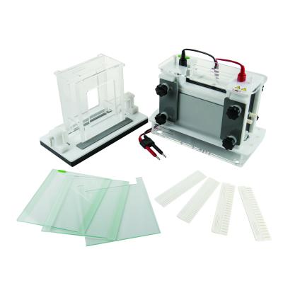 Polyacrylamidel Gel Electrophoresis Equipment Vertical Electrophoresis Tank Jy-scz8