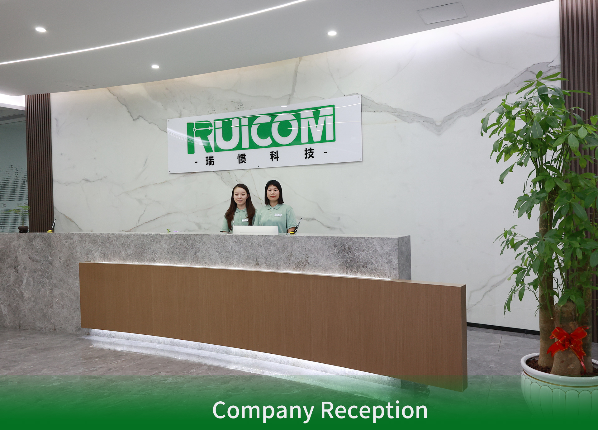 Shenzhen Ruicom Technology Co.,Ltd.
