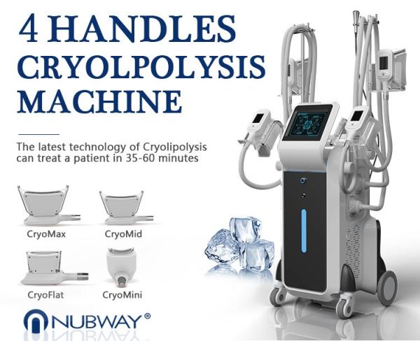 CE approval cryolipolysi slim weight loss machine fat freezing machine Christma Promotion
