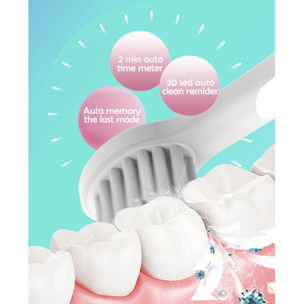 CONTEC C1 Waterproof IPX7 Electric Sonic Toothbrush Rechargeable Toothbrush