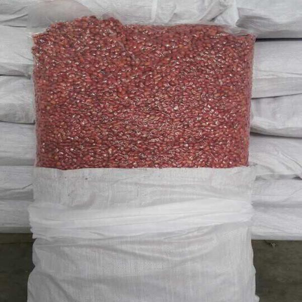 Delicious Blanched Peanuts / Red Skin Peanuts Fast Fresh Food For Eating / Oil Processing
