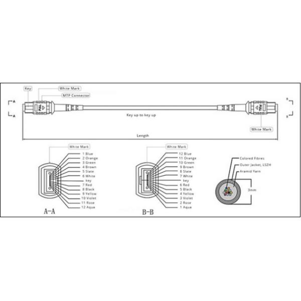 12 Cores MPO Fiber Optic Patch Cable With ROHS CE REACH CPR Compliant