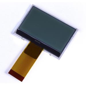 Graphic LCD Module