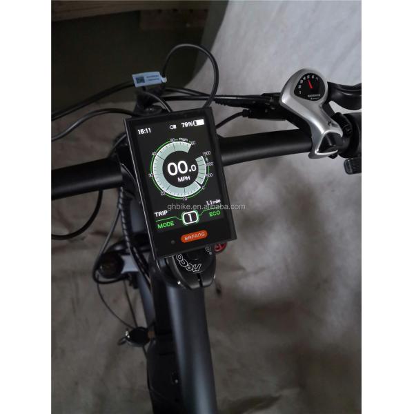 Adult Fat Tyre Cycle E Ebike Electric Bike 48V 1000W 21A Central Mid Drive Motor 26 Inch