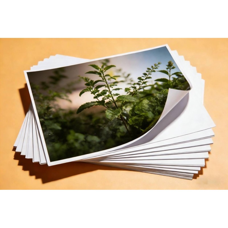 115g A4 A3 Inkjet Adhesive Paper Waterproof Smudge Resistant Adhesive Photo Paper