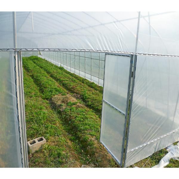 Садовая однотоннельная теплица, экологичная, пленочного типа, для выращивания культур