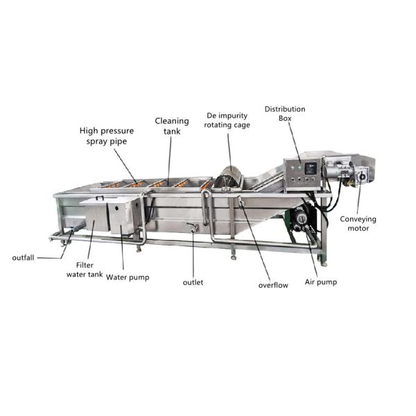 Fish Shrimp Oysters Carrots Vegetables Washing Machine 500kg/H