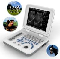 Ponta de prova retal da ponta de prova convexa veterinária animal do micro dos varredores 5.0Mhz do ultrassom