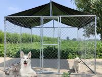 Canil de cães galvanizado a quente 6FT Chain Link Canil de cães Cage Run Outdoor