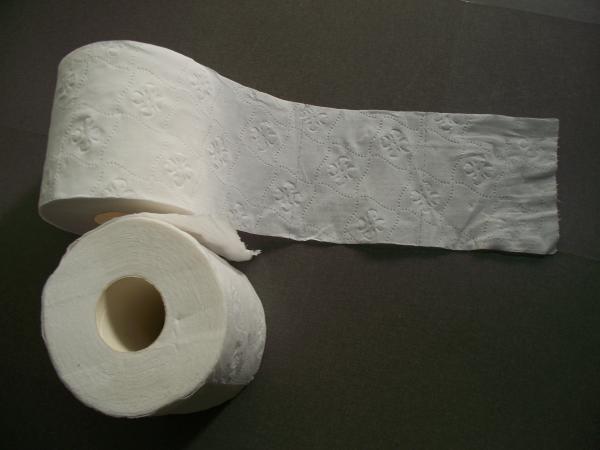 Virgin Wooden Pulp Bathroom Toilet 2 Ply Tissue Paper 14gsm 100g