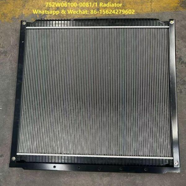 Radiator Assembly 752W06100-0081/1 HOWO Truck Parts Engine Radiator Coolant Radiator