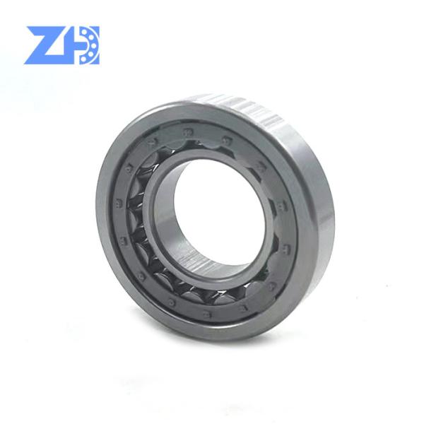 Tamanho 45*85*19 milímetro de Cylindrical Roller Bearing Zz 2rs NJ209E da máquina escavadora