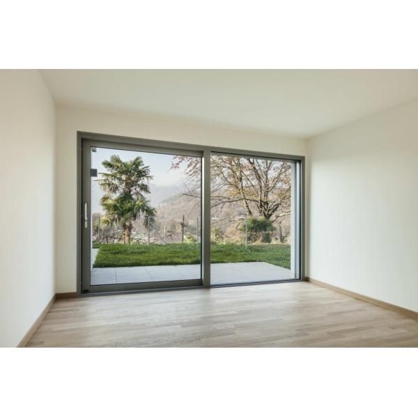 Patio Aluminium Lift And Slide Doors Anodizing With Fiberglass Flyscreen